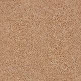 Elliston Atrio Carpet