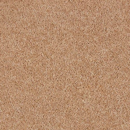 Elliston Plush Carpet
