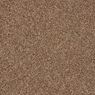 Elliston Plush Carpet