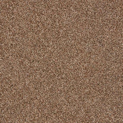 Elliston Plush Carpet