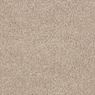 Grand Reserve Plush Carpet