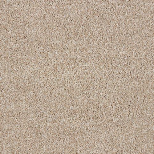 Grand Reserve Plush Carpet
