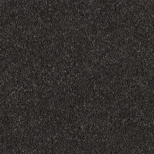 Grand Reserve Plush Carpet