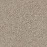 Elliston Plush Carpet