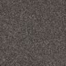 Elliston Plush Carpet