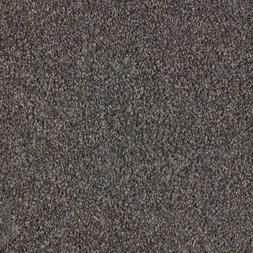 Elliston Plush Carpet