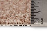 Ironbound Ascent Carpet