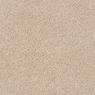 Grand Reserve Plush Carpet