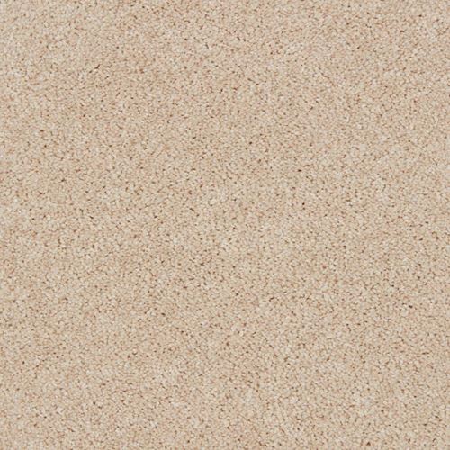 Grand Reserve Plush Carpet