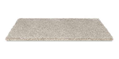 Elliston Plush Carpet