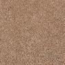 Elliston Plush Carpet