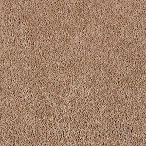 Elliston Ardus Beige Plush Carpet Product Swatch Image