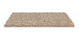 Ironbound Etched Carpet