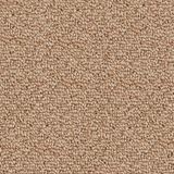 Ironbound Imprint Carpet