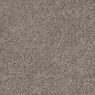 Elliston Plush Carpet