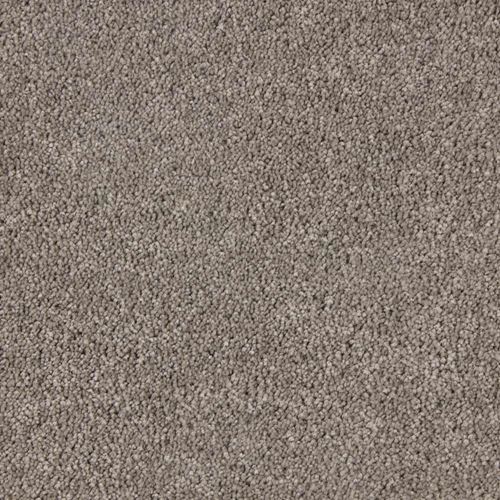 Elliston Plush Carpet