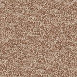 Ironbound Ascent Carpet