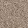 Alderbrook Plush Carpet
