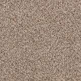 Alderbrook Arbor Carpet