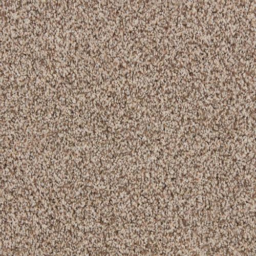 Alderbrook Plush Carpet