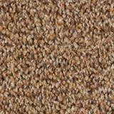 Alderbrook Color Oasis