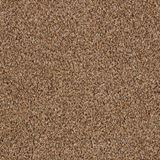 Alderbrook Oasis Carpet