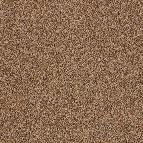 Alderbrook Plush Carpet