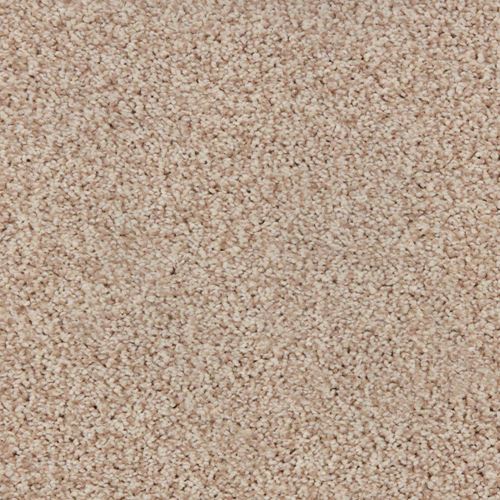 Alderbrook Plush Carpet
