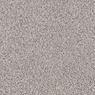 Alderbrook Plush Carpet