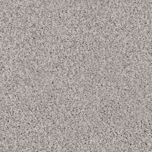 Alderbrook Plush Carpet
