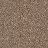 Alderbrook Plush Carpet