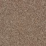 Alderbrook Ascent Carpet