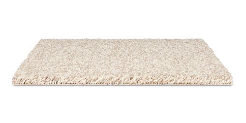 Alderbrook Plush Carpet