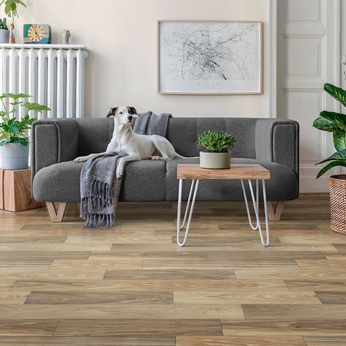 Mayfair Sheet Vinyl Flooring