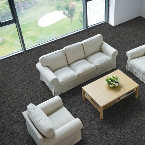 Tenbrooke II Commercial Carpet And Carpet Tile