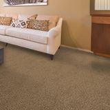 Cool Breeze Tanned Branch Carpet