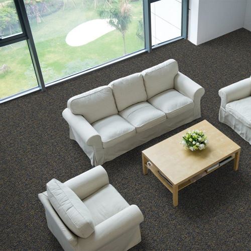 Tenbrooke II Commercial Carpet And Carpet Tile