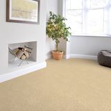 Match Play Champion Carpet