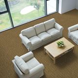 Tenbrooke II Oat Straw Carpet