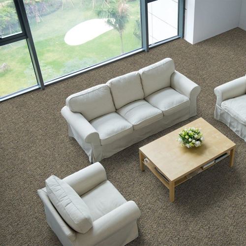 Tenbrooke II Commercial Carpet And Carpet Tile