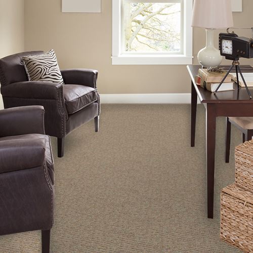 Trenton Berber Carpet