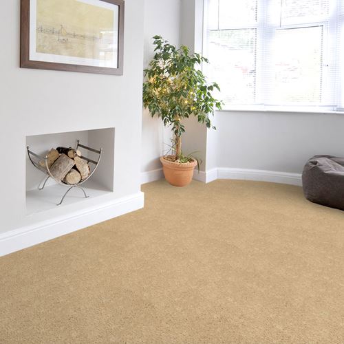 Match Play Plush Carpet