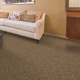 Cool Breeze Aged Tree Carpet