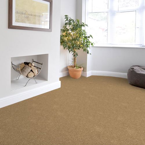 Match Play Plush Carpet