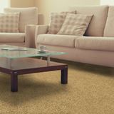Pendleton Flax Seed Carpet