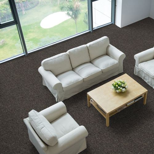 Tenbrooke II Commercial Carpet And Carpet Tile