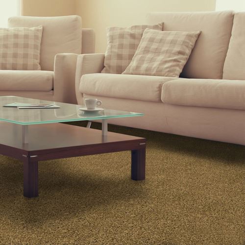 Pendleton Plush Carpet