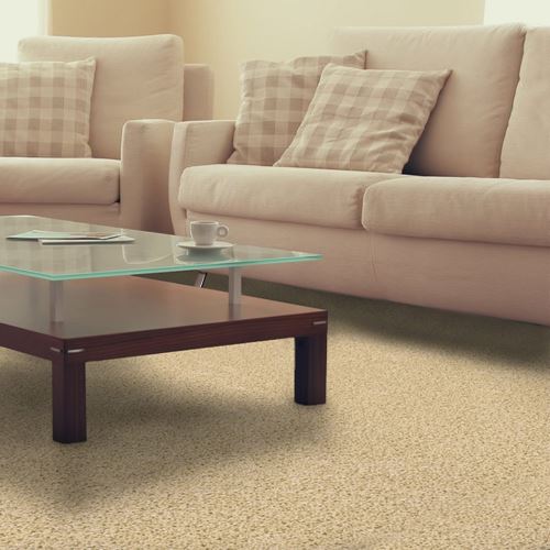 Pendleton Plush Carpet