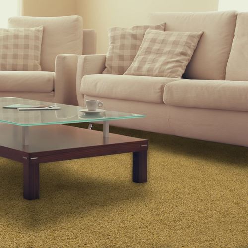 Pendleton Plush Carpet