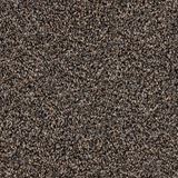 Harmony Heights Amity Carpet